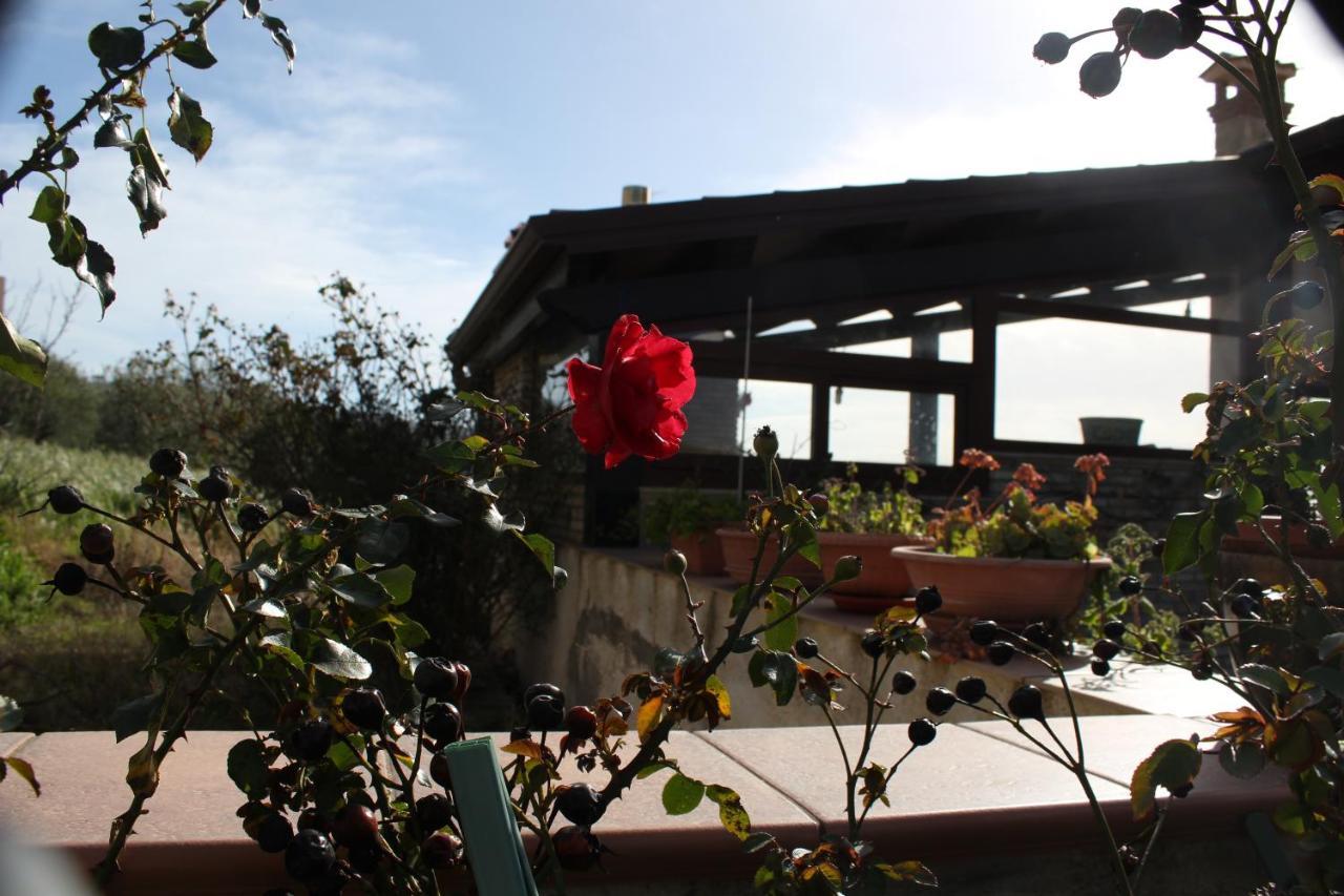 La Casa Di Bia Bed & Breakfast Corleone Luaran gambar