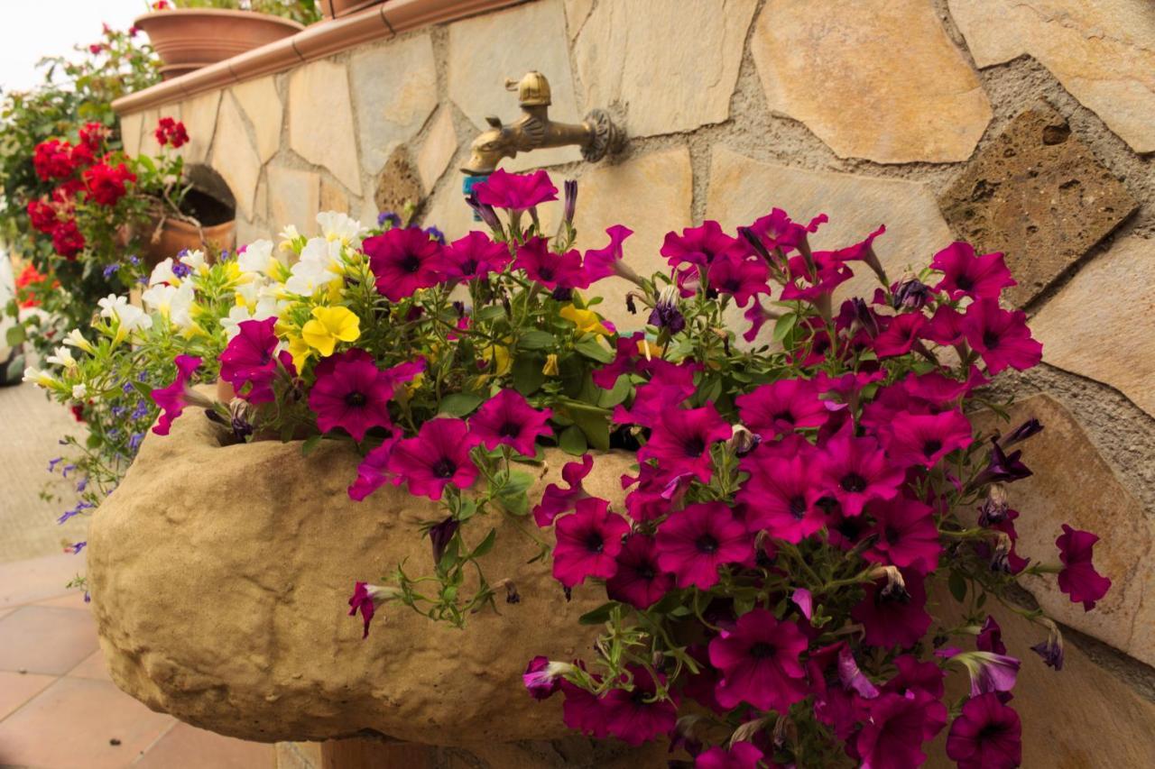 La Casa Di Bia Bed & Breakfast Corleone Luaran gambar